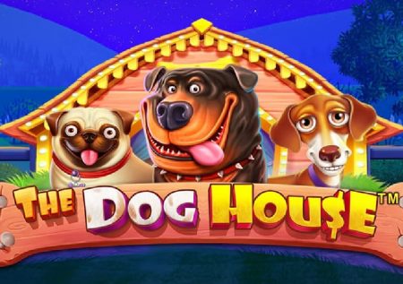 The Dog House